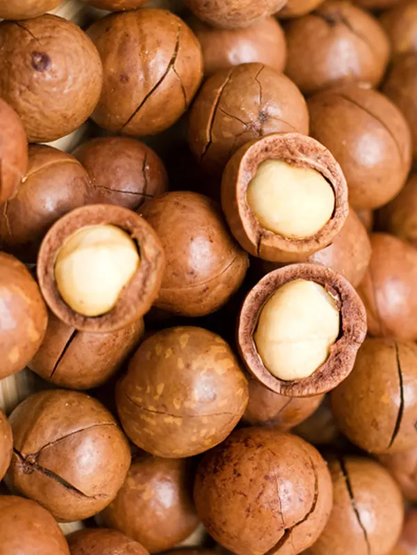 macadamia-nuts.webp